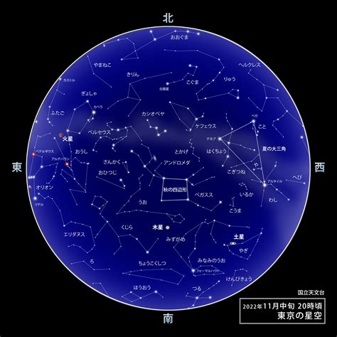 星座 11月22日